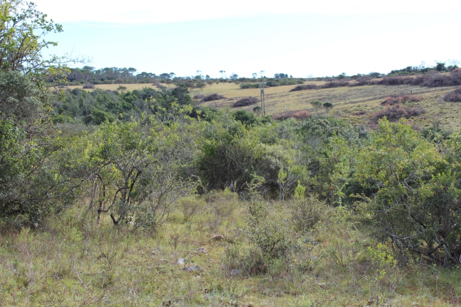 1 Bedroom Property for Sale in Bathurst Rural Eastern Cape